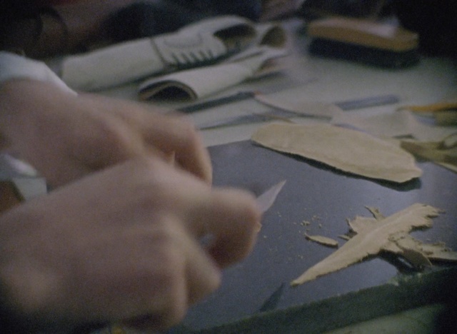 Video Reference: Hand, Finger, Scale model