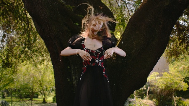 Video Reference: Lady, Natural environment, Beauty, Tree, Goth subculture, Dress, Botany, Fashion, Forest, Leaf
