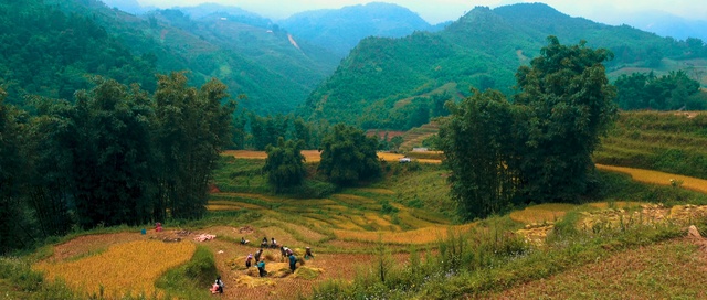 Video Reference: Natural landscape, Hill station, Nature, Mountainous landforms, Highland, Nature reserve, Natural environment, Hill, Rural area, Mountain