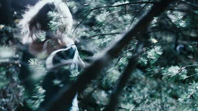 Video Reference: Nature, Natural environment, Green, Jungle, Forest, Branch, Tree, Organism, Leaf, Wildlife