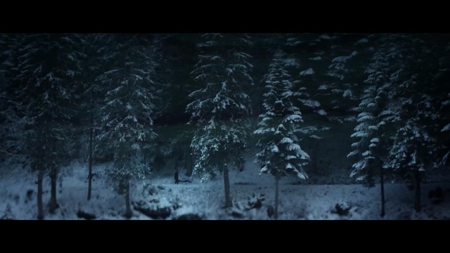 Video Reference: black, nature, atmosphere, frost, winter, freezing, darkness, snow, tree, night, Person