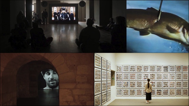 Video Reference: tourist attraction, museum, exhibition, art, art gallery, art exhibition, Person