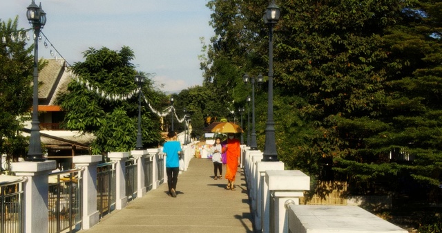 Video Reference: tree, plant, walkway, public space, leisure, road, lane, boardwalk, pedestrian, recreation, Person