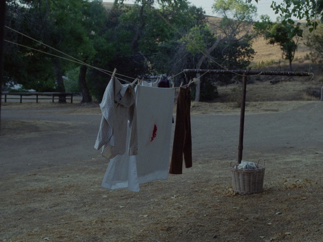 Video Reference: Tree, Person