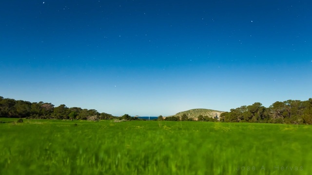 Video Reference: sky, grassland, nature, atmosphere, green, field, ecosystem, prairie, meadow, grass