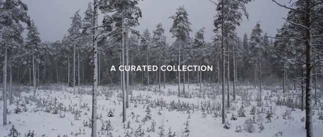 Video Reference: snow, winter, tree, ecosystem, freezing, forest, woodland, frost, spruce fir forest, biome