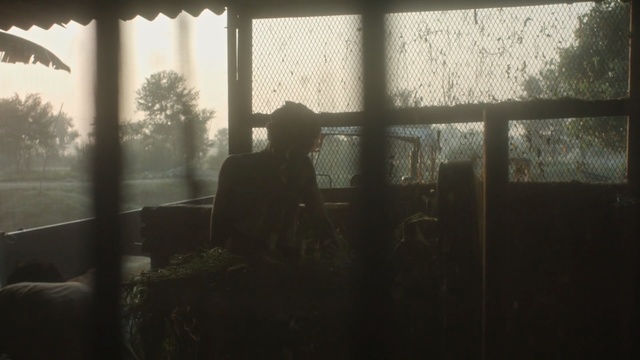 Video Reference: Light, Window, Atmospheric phenomenon, Sky, Tree, Sunlight, Backlighting, Photography, Room, Tints and shades