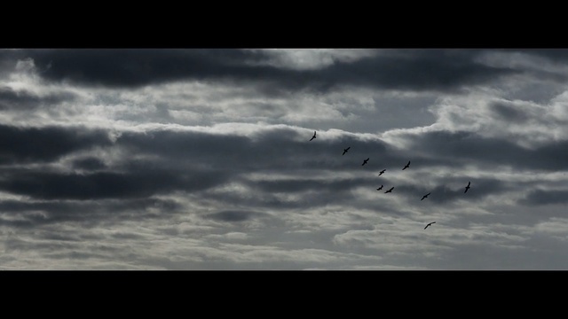 Video Reference: sky, cloud, atmosphere, black and white, daytime, cumulus, meteorological phenomenon, horizon, monochrome photography, darkness