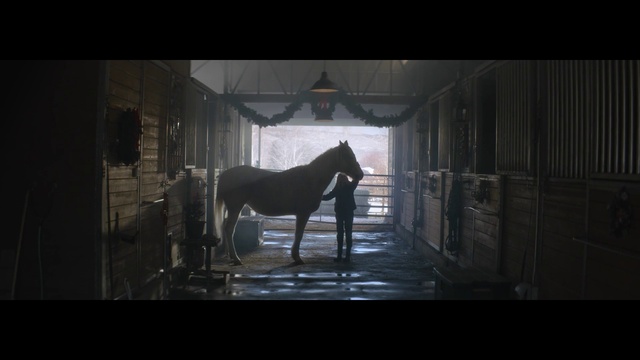 Video Reference: Horse, Darkness, Stable, Mane, Mare, Stallion, Photography