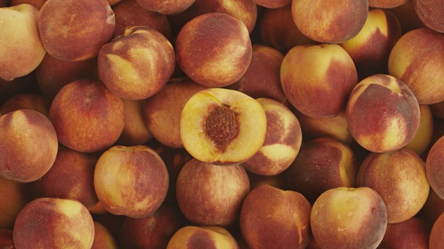 Video Reference: citrus, fruit, orange, vitamin, edible fruit, juicy, healthy, diet, fresh, sweet, tangerine, food, mandarin, fruits, ripe, health, tasty, oranges, nutrition, Person