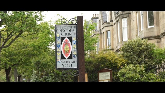 Video Reference: tree, woody plant, street sign, advertising, signage, sign, street, city, grass, recreation