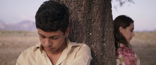 Video Reference: Hair, Hairstyle, Forehead, Black hair, Human, Tree, Adaptation, Photography, Plant, Smile