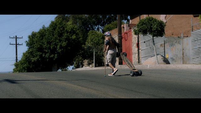 Video Reference: Asphalt, Longboard, Longboarding, Skateboard, Recreation, Sports equipment, Boardsport, Street sports, Tree, Freeride