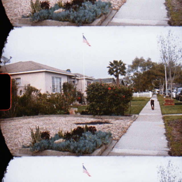 Video Reference: Snow, Winter, Home, Tree, House, Residential area, Leaf, Grass, Real estate, Architecture, Person