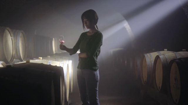 Video Reference: Light, Lighting, Standing, Darkness, Atmosphere, Photography, Fun, Night, Performance, Shadow