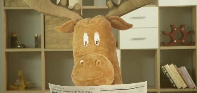 Video Reference: wood, stuffed toy, plush, Person