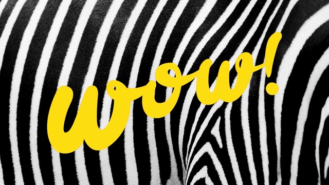 Video Reference: Font, Yellow, Text, Graphics, Black-and-white, Logo