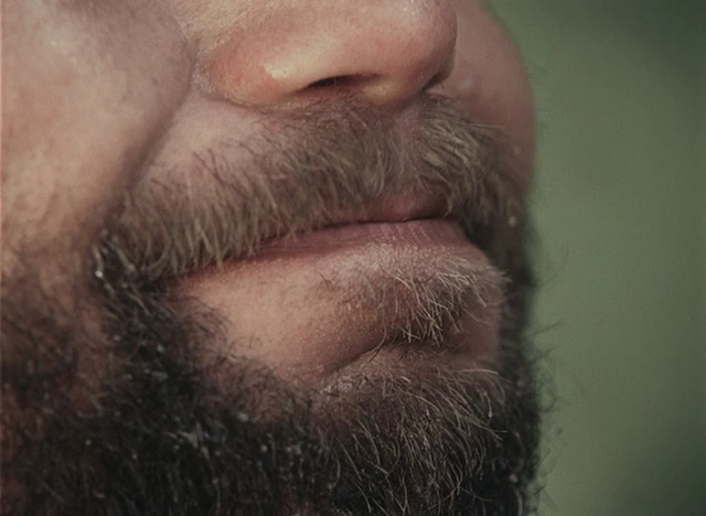 Video Reference: Facial hair, Beard, Hair, Face, Nose, Moustache, Chin, Lip, Forehead, Skin