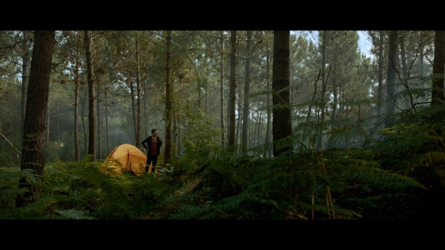 Video Reference: Woodland, Forest, Nature, Natural environment, Old-growth forest, Tree, Wildlife, Wilderness, Vegetation, Jungle