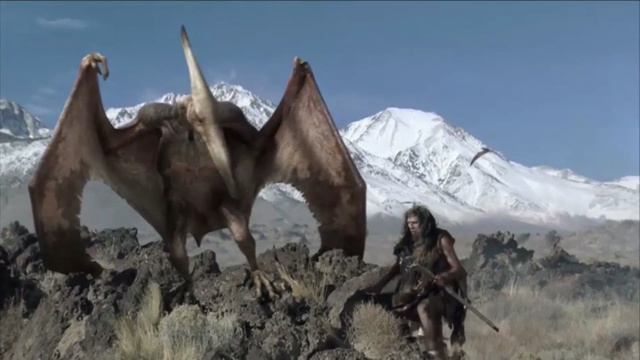 Video Reference: mountain, herd, ecoregion, mountain range