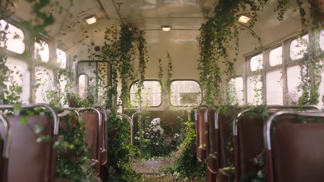 Video Reference: Building, Interior design, Plant, Vehicle