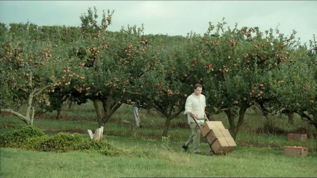 Video Reference: tree, agriculture, plant, field, shrub, shrubland, grass, plantation, plant community, crop, Person