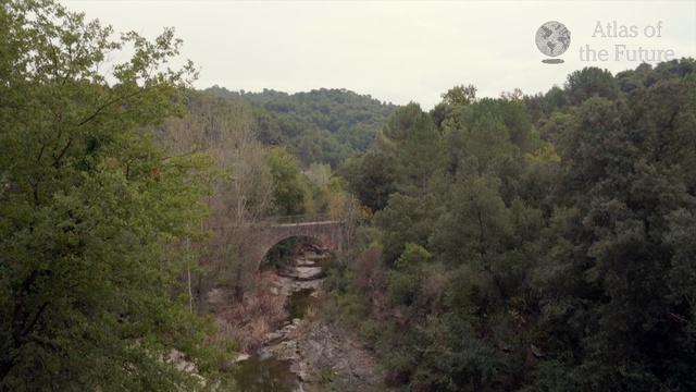 Video Reference: Vegetation, Nature, Nature reserve, Natural environment, Wilderness, Hill station, Forest, Jungle, Bridge, Rainforest