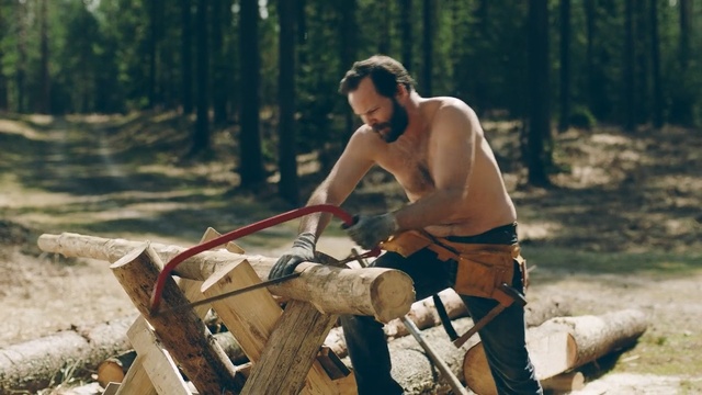 Video Reference: Wood chopping, Wood, Tree, Lumberjack, Chainsaw, Vehicle