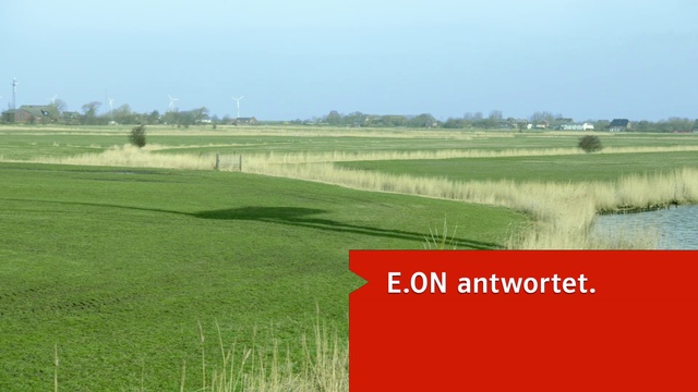 Video Reference: Grassland, Land lot, Sport venue, Field, Plain, Natural environment, Grass, Natural landscape, Pasture, Grass family