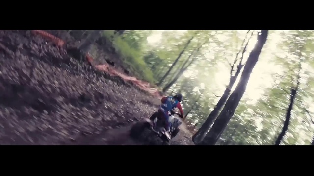 Video Reference: Adventure, Extreme sport, Wilderness, Recreation, Vehicle, Tree, Downhill mountain biking, Freeride, Geological phenomenon, Forest, Person