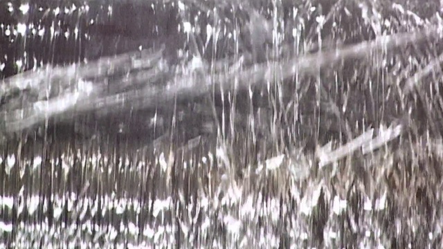 Video Reference: Water, Black-and-white, Monochrome photography, Grass, Tree, Monochrome, Photography, Plant, Rain, Ice