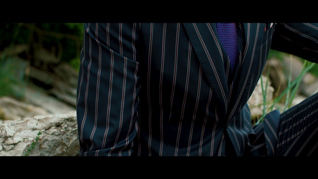 Video Reference: blue, black, light, tree, grass, screenshot, black hair, darkness, plant, sunlight