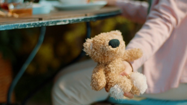 Video Reference: Stuffed toy, Teddy bear, Toy, Plush, Room, Child