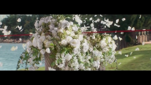 Video Reference: Flower, Plant, Flower Arranging, Spring, Blossom, Floristry, Floral design, Tree, Bouquet, Petal