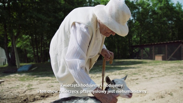 Video Reference: Adaptation, Soil, Outdoor, Grass, Man, Table, White, Front, Sitting, Statue, Standing, Large, Head, Wearing, Holding, Horse, Park, Bird, Enclosure, Laying, Field, Hat, Water, Board, Zoo, Elephant, Riding, Tree, Ground, Text, Fashion accessory, Wedding dress