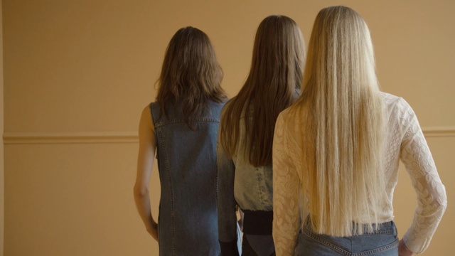 Video Reference: Hair, Long hair, Blond, Hairstyle, Yellow, Hair coloring, Shoulder, Brown hair, Layered hair, Back