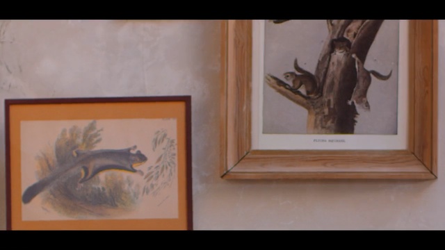 Video Reference: Painting, Art, Picture frame, Visual arts, Drawing, Wildlife, Elk