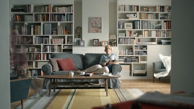 Video Reference: Bookcase, Shelving, Furniture, Shelf, Living room, Room, Couch, Interior design, Building, Library