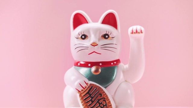 Video Reference: Cat, Pink, Felidae, Whiskers, Small to medium-sized cats, Cartoon, Toy, Kitten, Sweetness, Carnivore