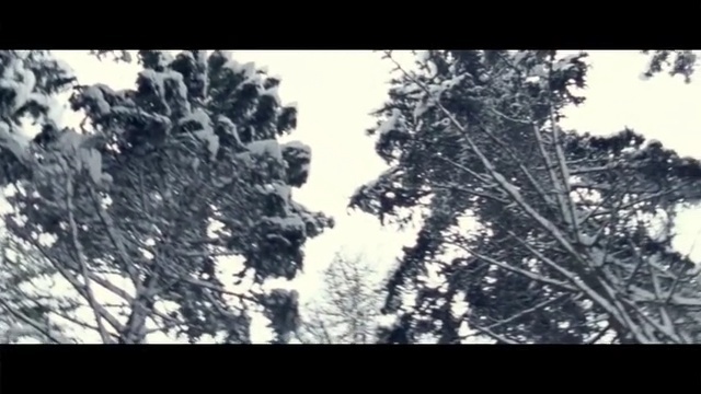 Video Reference: sky, tree, nature, black and white, winter, ecosystem, woody plant, branch, snow, monochrome photography