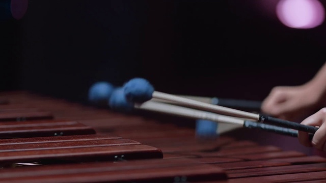Video Reference: Xylophone, Marimba, Vibraphone, Musical instrument, Percussion mallet, Musical instrument accessory, Still life photography