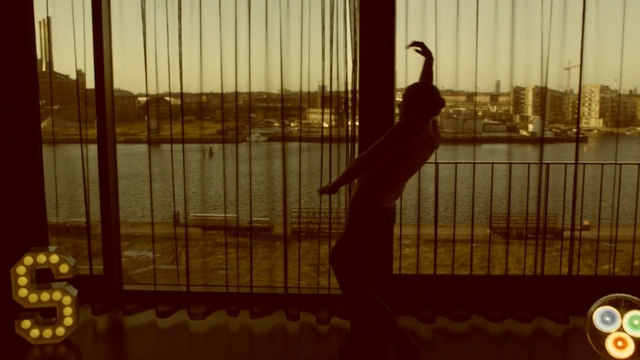 Video Reference: Bird, Cage, Interior design, Metal