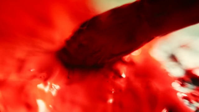 Video Reference: red, macro photography, close up, petal, mouth, flesh, sky, computer wallpaper, lip, blood