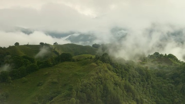 Video Reference: Highland, Mountainous landforms, Nature, Hill station, Hill, Atmospheric phenomenon, Vegetation, Mist, Grassland, Mountain