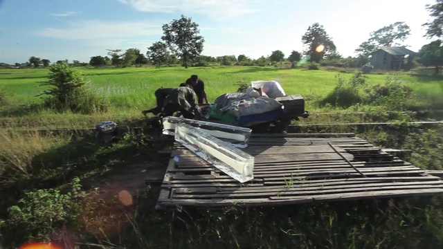 Video Reference: plant, mode of transport, vehicle, transport, grass, plant community, tree, motor vehicle, car, landscape