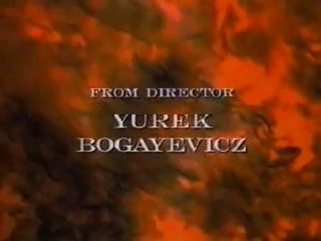 Video Reference: Nature, Text, Font, Orange, Sky, Leaf, Heat, Geological phenomenon, Tree, Adaptation