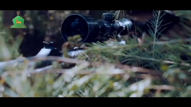 Video Reference: soldier, ecosystem, grass, flora, military, organism, shooting, grass family, computer wallpaper, Person