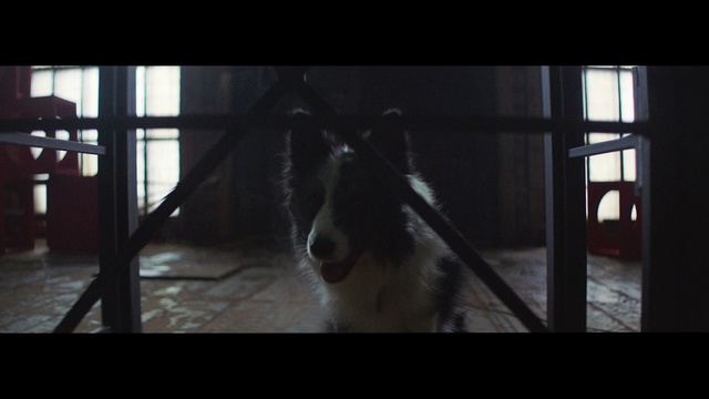 Video Reference: Black, Darkness, Iron, Light, Snapshot, Photography, Metal, Room, Floor, Daylighting