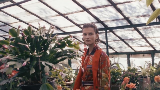 Video Reference: plant, flower, flora, flowering plant, greenhouse, tree, botanical garden, outdoor structure, spring, floristry, Person