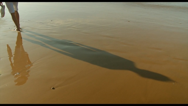 Video Reference: Sand, Water, Shadow, Shore, Sea, Sky, Beach, Calm, Horizon, Coast